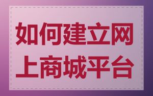 如何建立网上商城平台