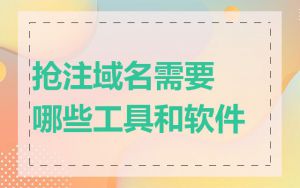 抢注域名需要哪些工具和软件