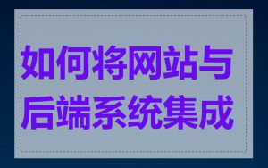 如何将网站与后端系统集成