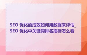 SEO 优化的成效如何用数据来评估_SEO 优化中关键词排名指标怎么看