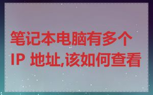 笔记本电脑有多个 IP 地址,该如何查看