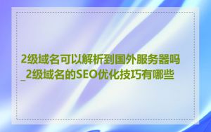 2级域名可以解析到国外服务器吗_2级域名的SEO优化技巧有哪些