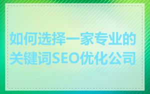 如何选择一家专业的关键词SEO优化公司
