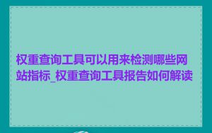 权重查询工具可以用来检测哪些网站指标_权重查询工具报告如何解读
