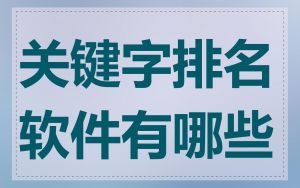 关键字排名软件有哪些