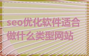seo优化软件适合做什么类型网站