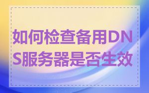 如何检查备用DNS服务器是否生效