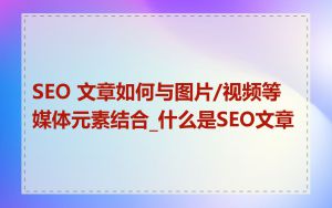 SEO 文章如何与图片/视频等媒体元素结合_什么是SEO文章