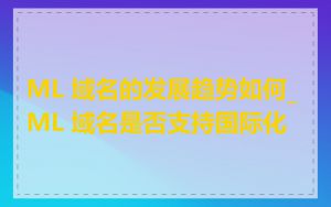 ML 域名的发展趋势如何_ML 域名是否支持国际化