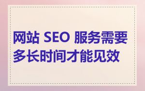 网站 SEO 服务需要多长时间才能见效