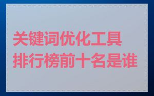 关键词优化工具排行榜前十名是谁