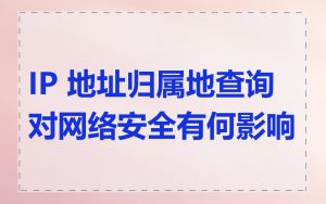 IP 地址归属地查询对网络安全有何影响