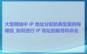 大型网络中 IP 地址分配的典型案例有哪些_如何进行 IP 地址的编号和命名