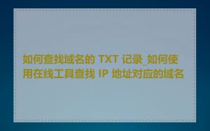如何查找域名的 TXT 记录_如何使用在线工具查找 IP 地址对应的域名