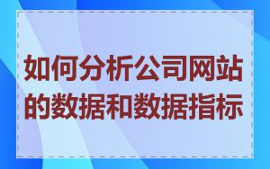如何分析公司网站的数据和数据指标