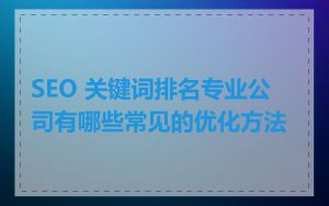 SEO 关键词排名专业公司有哪些常见的优化方法