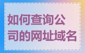 如何查询公司的网址域名
