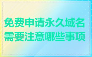 免费申请永久域名需要注意哪些事项