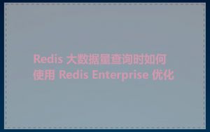 Redis 大数据量查询时如何使用 Redis Enterprise 优化