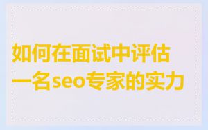 如何在面试中评估一名seo专家的实力