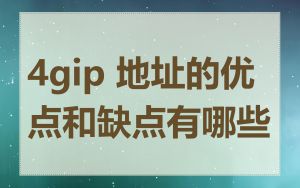 4gip 地址的优点和缺点有哪些