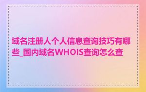 域名注册人个人信息查询技巧有哪些_国内域名WHOIS查询怎么查