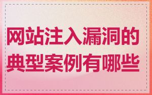 网站注入漏洞的典型案例有哪些