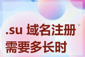 .su 域名注册需要多长时间