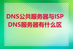 DNS公共服务器与ISP DNS服务器有什么区别