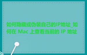 如何隐藏或伪装自己的IP地址_如何在 Mac 上查看当前的 IP 地址