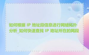 如何根据 IP 地址段信息进行网络拓扑分析_如何快速查找 IP 地址所在的网段