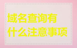域名查询有什么注意事项