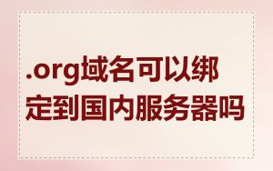 .org域名可以绑定到国内服务器吗