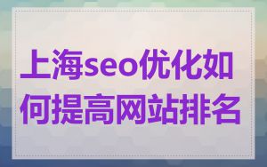 上海seo优化如何提高网站排名