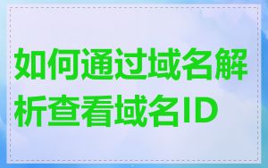 如何通过域名解析查看域名ID