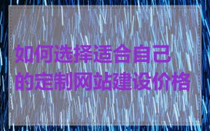如何选择适合自己的定制网站建设价格