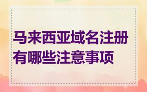 马来西亚域名注册有哪些注意事项