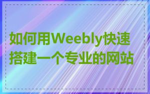 如何用Weebly快速搭建一个专业的网站