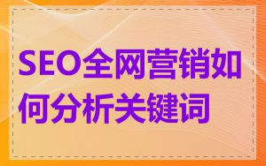 SEO全网营销如何分析关键词
