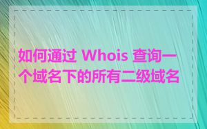 如何通过 Whois 查询一个域名下的所有二级域名