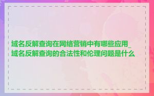 域名反解查询在网络营销中有哪些应用_域名反解查询的合法性和伦理问题是什么