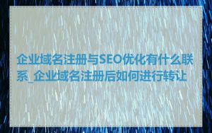 企业域名注册与SEO优化有什么联系_企业域名注册后如何进行转让