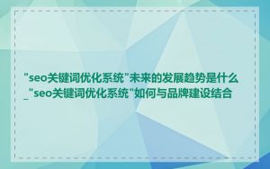 "seo关键词优化系统"未来的发展趋势是什么_"seo关键词优化系统"如何与品牌建设结合