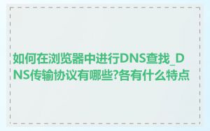 如何在浏览器中进行DNS查找_DNS传输协议有哪些?各有什么特点