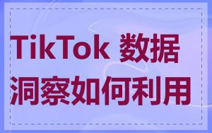 TikTok 数据洞察如何利用