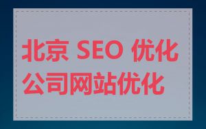 北京 SEO 优化公司网站优化
