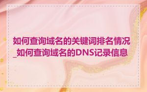 如何查询域名的关键词排名情况_如何查询域名的DNS记录信息