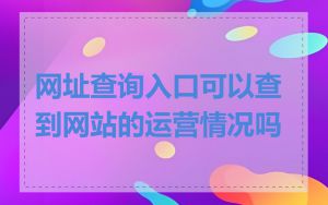 网址查询入口可以查到网站的运营情况吗