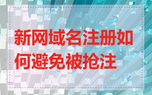 新网域名注册如何避免被抢注