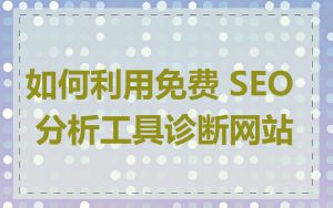 如何利用免费 SEO 分析工具诊断网站